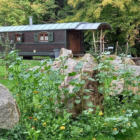 La Roulotte Du Randonneur Villa Rimbach-pres-Masevaux Eksteriør billede